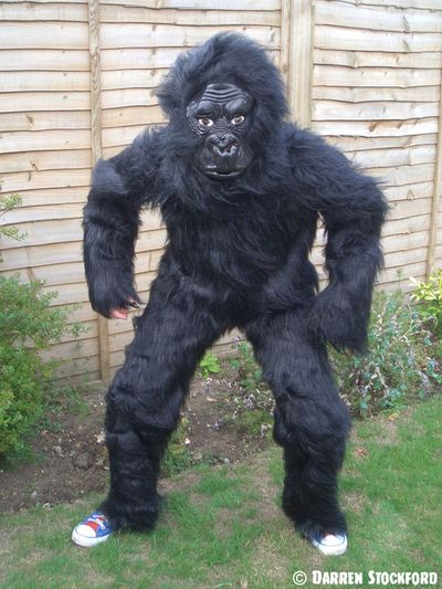 Darren dressed in a gorilla suit, 2005