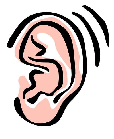 A ringing ear
