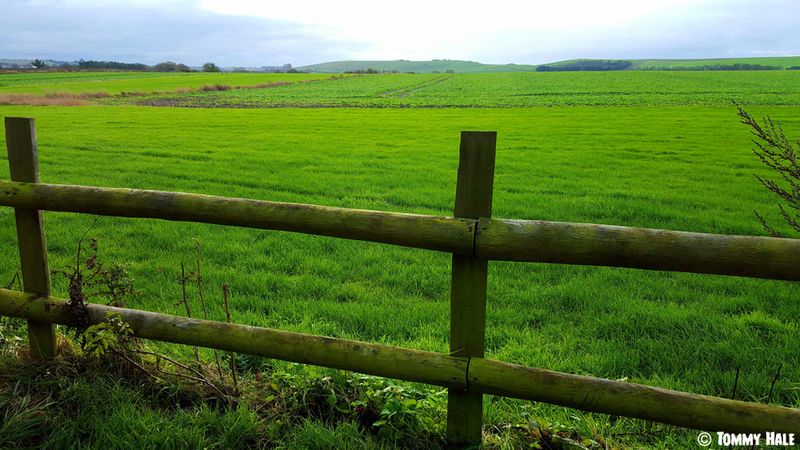 Fields near Mooncalf Studio